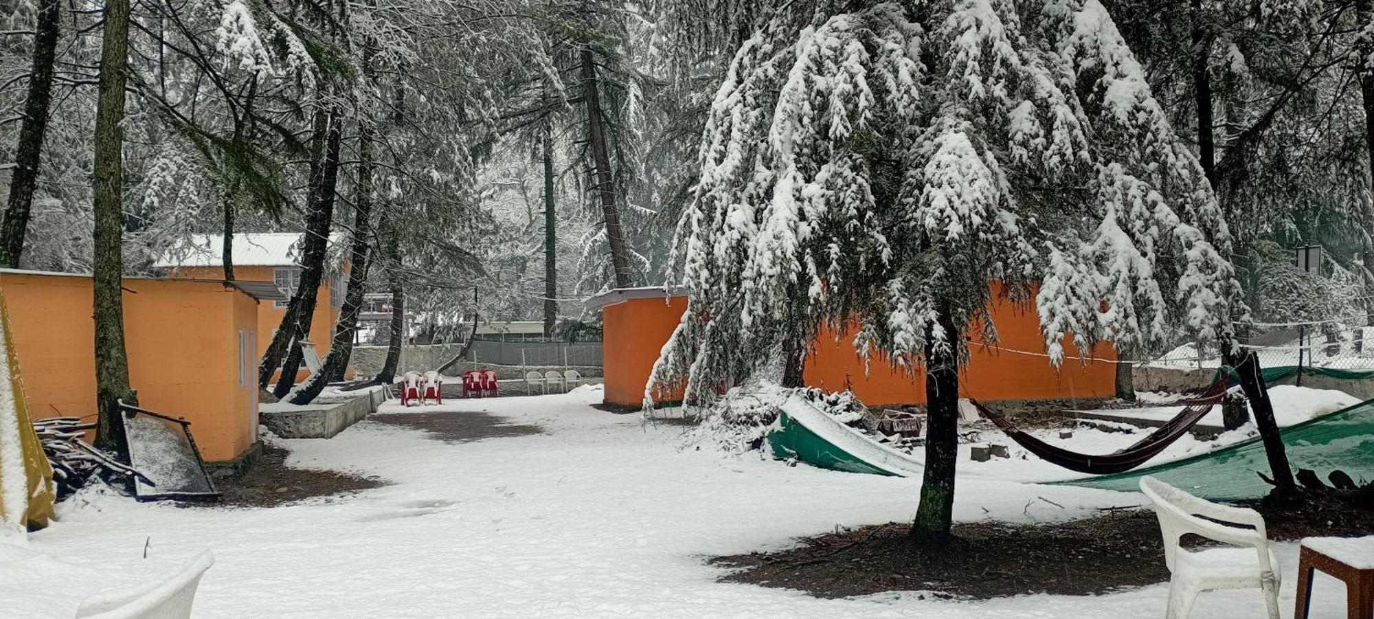 Pandora Riverside Cafe & Stay Kasol Zewnętrze zdjęcie
