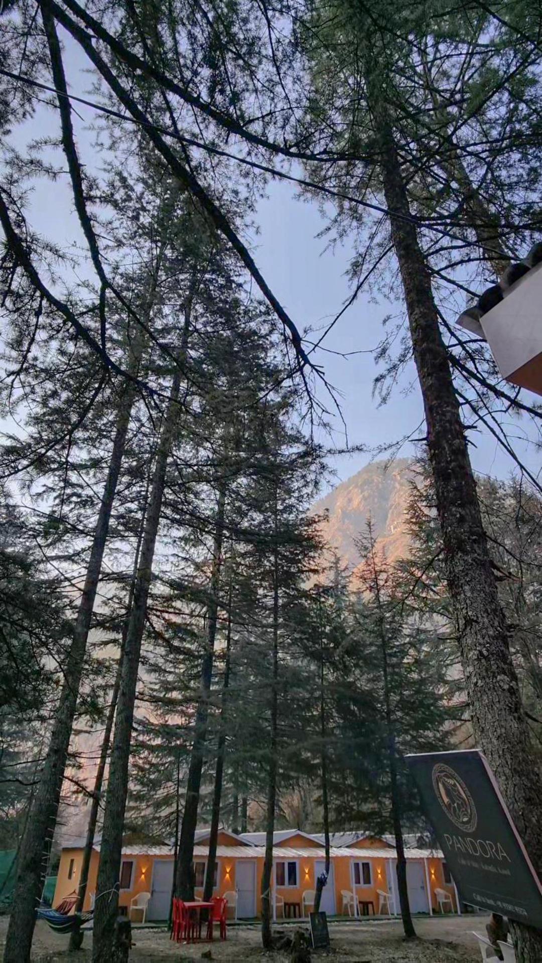 Pandora Riverside Cafe & Stay Kasol Zewnętrze zdjęcie